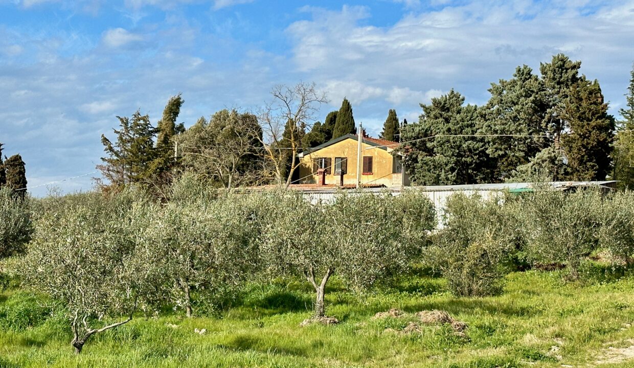 podere-rustico-pomarance