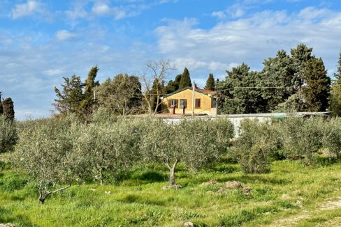 podere-rustico-pomarance