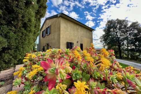 podere-pomarance1