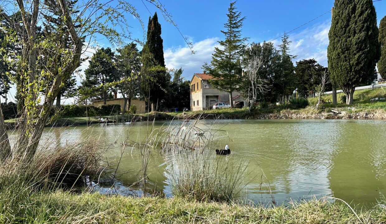 pomarance-podere-laghetto