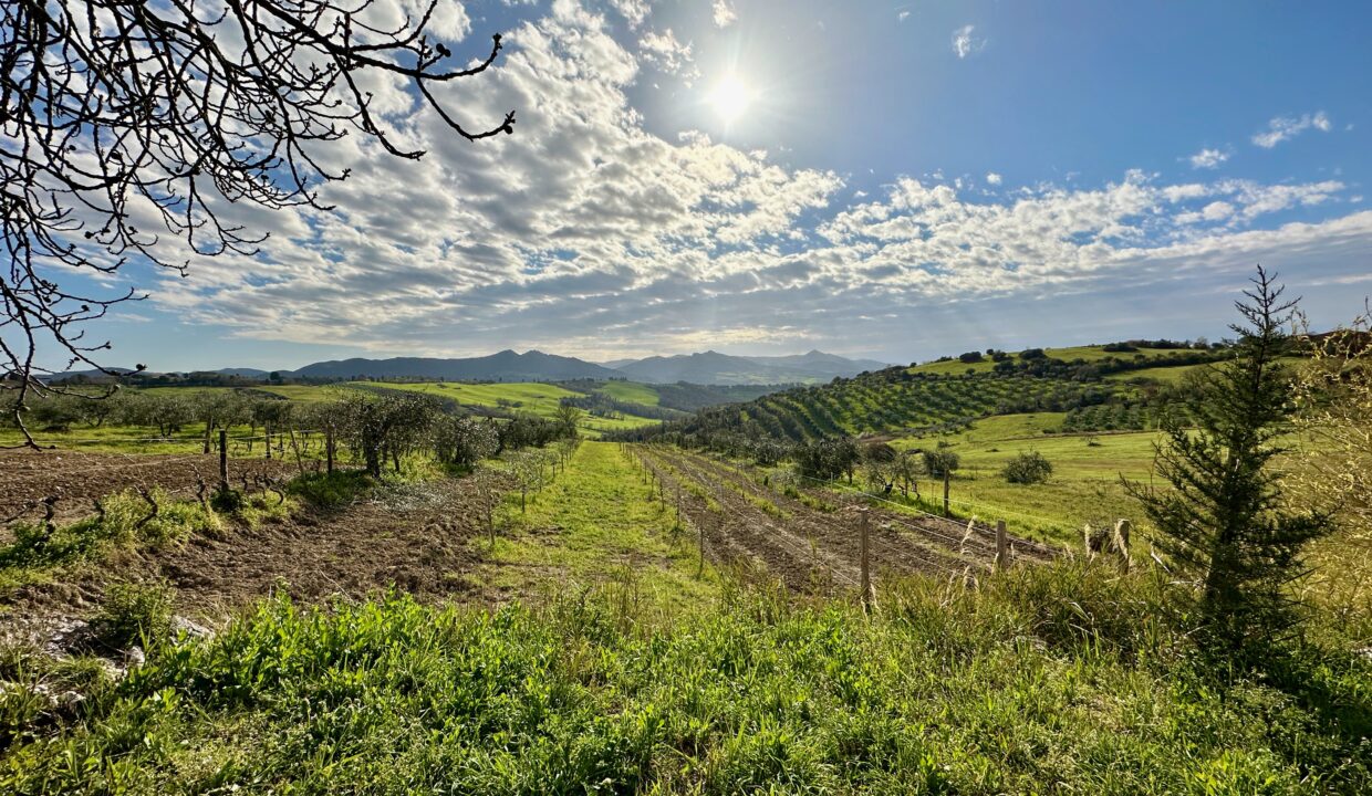 vista-colline-pomarance