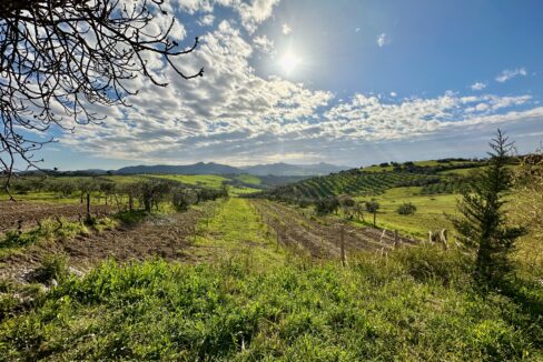 vista-colline-pomarance