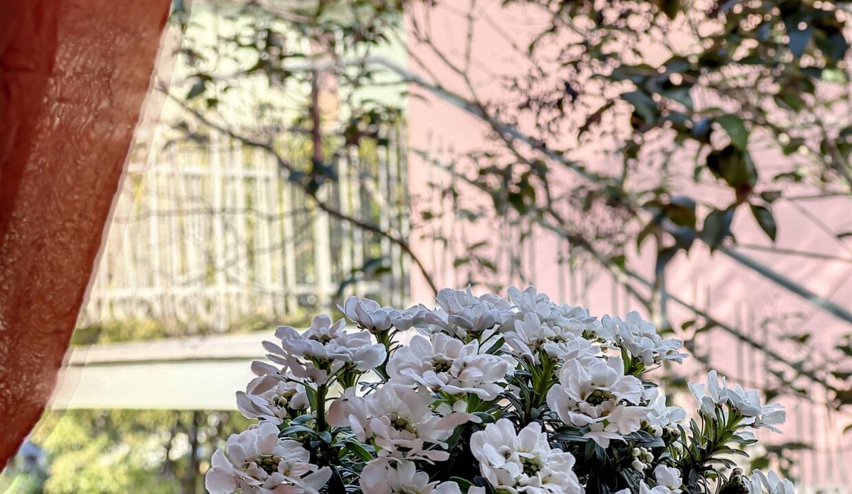 12-dettaglio-fiori-bagno