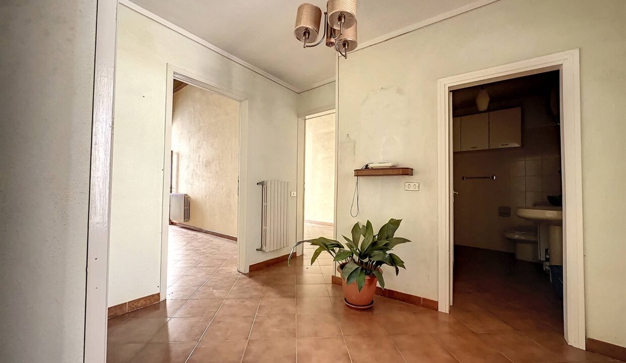 volterra-disimpegno